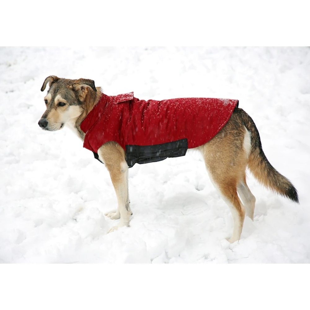Arctic Expedition Reversible Doggie Parka sz 3X, C